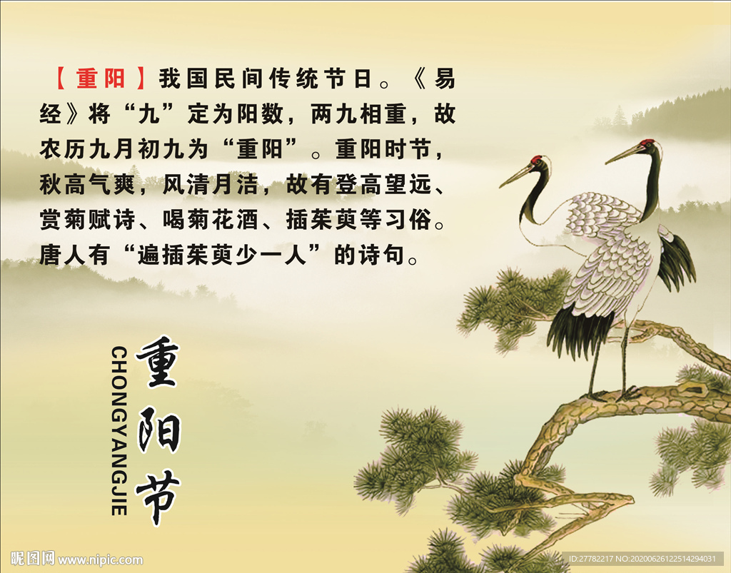 传统节日 重阳节