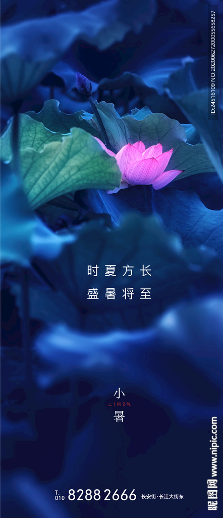 小暑