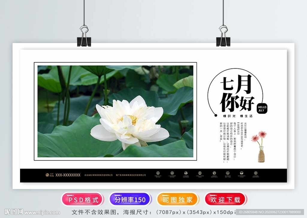 你好七月
