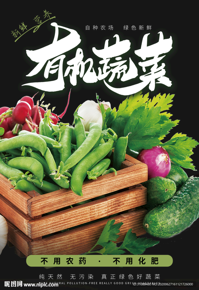 有机蔬菜海报 蔬菜 青菜海报