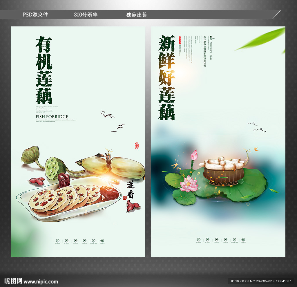 莲藕 新鲜莲藕