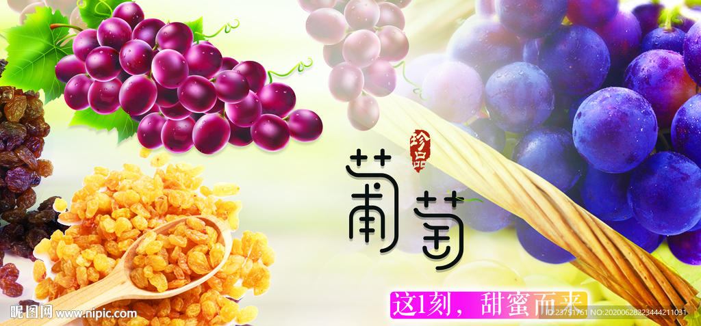 葡萄