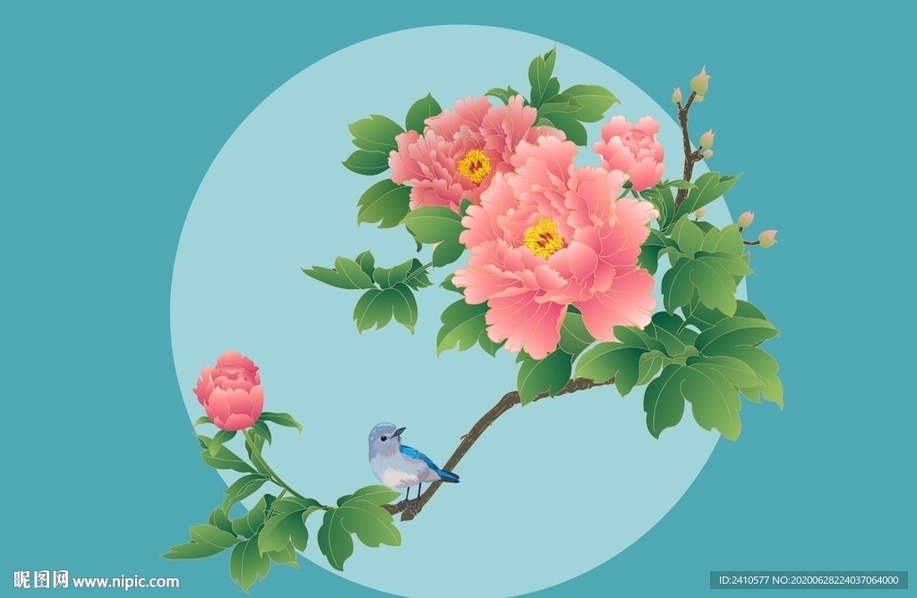 手绘插图 牡丹