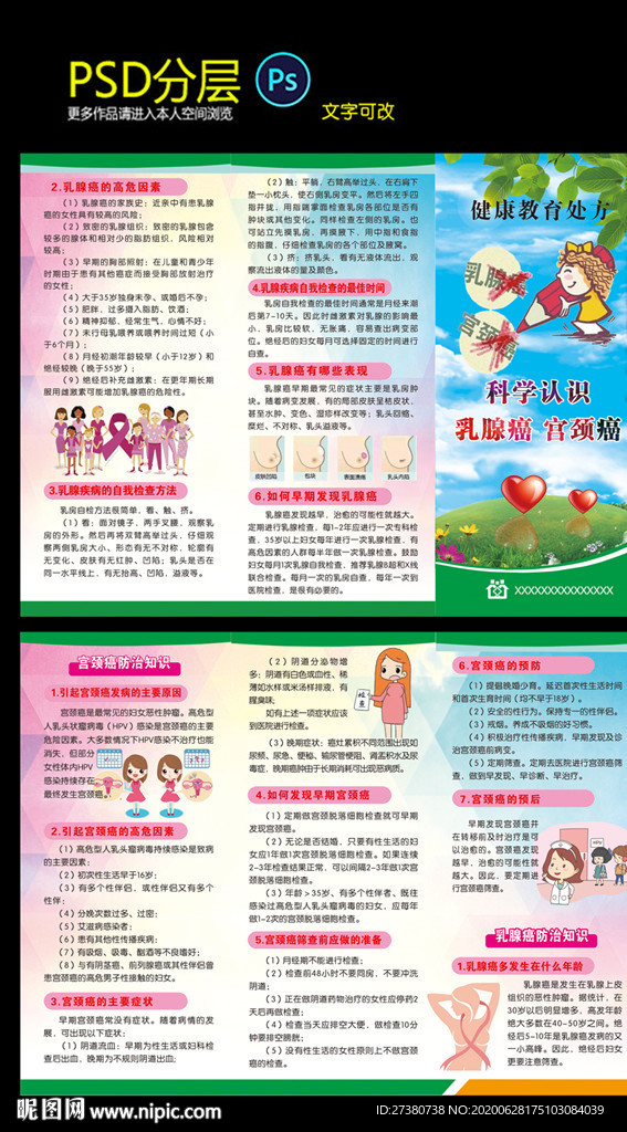乳腺癌 宫颈癌