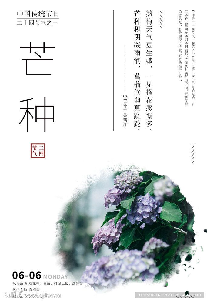 二十四节气芒种