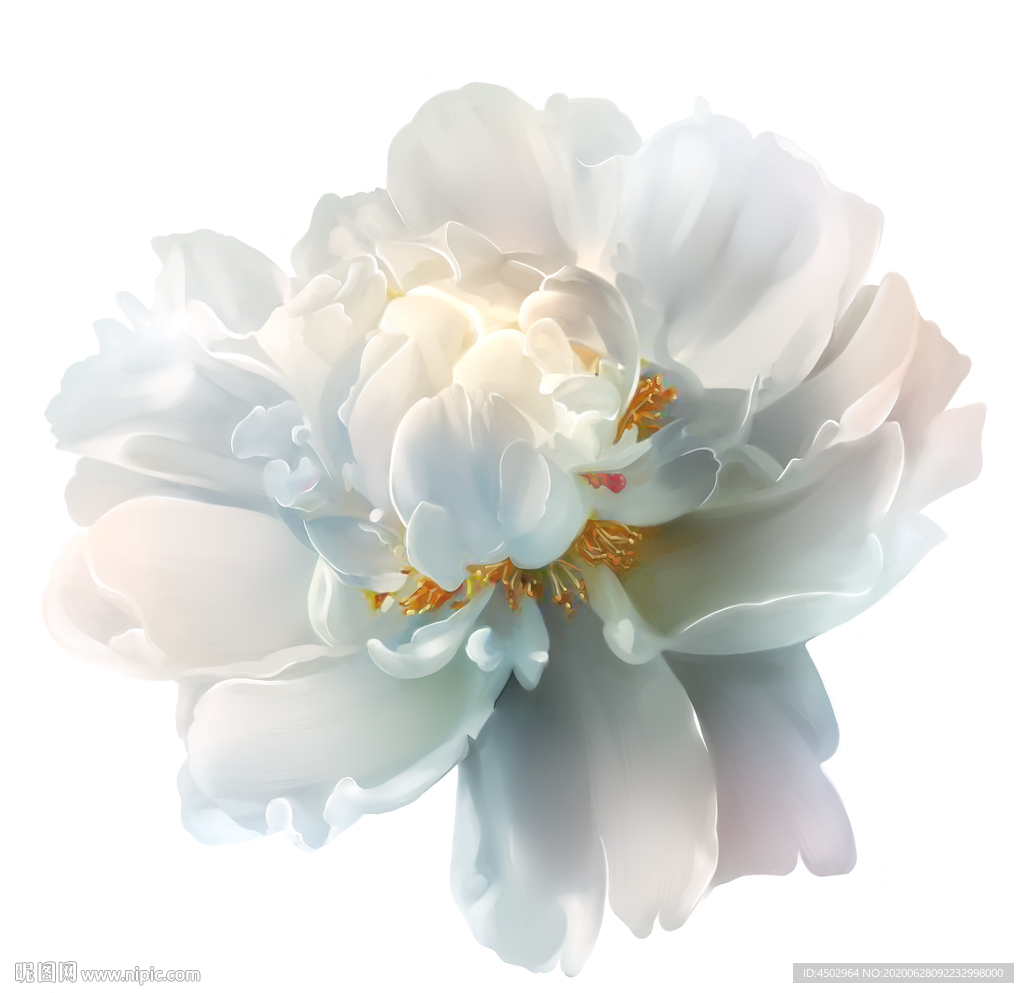 手绘花