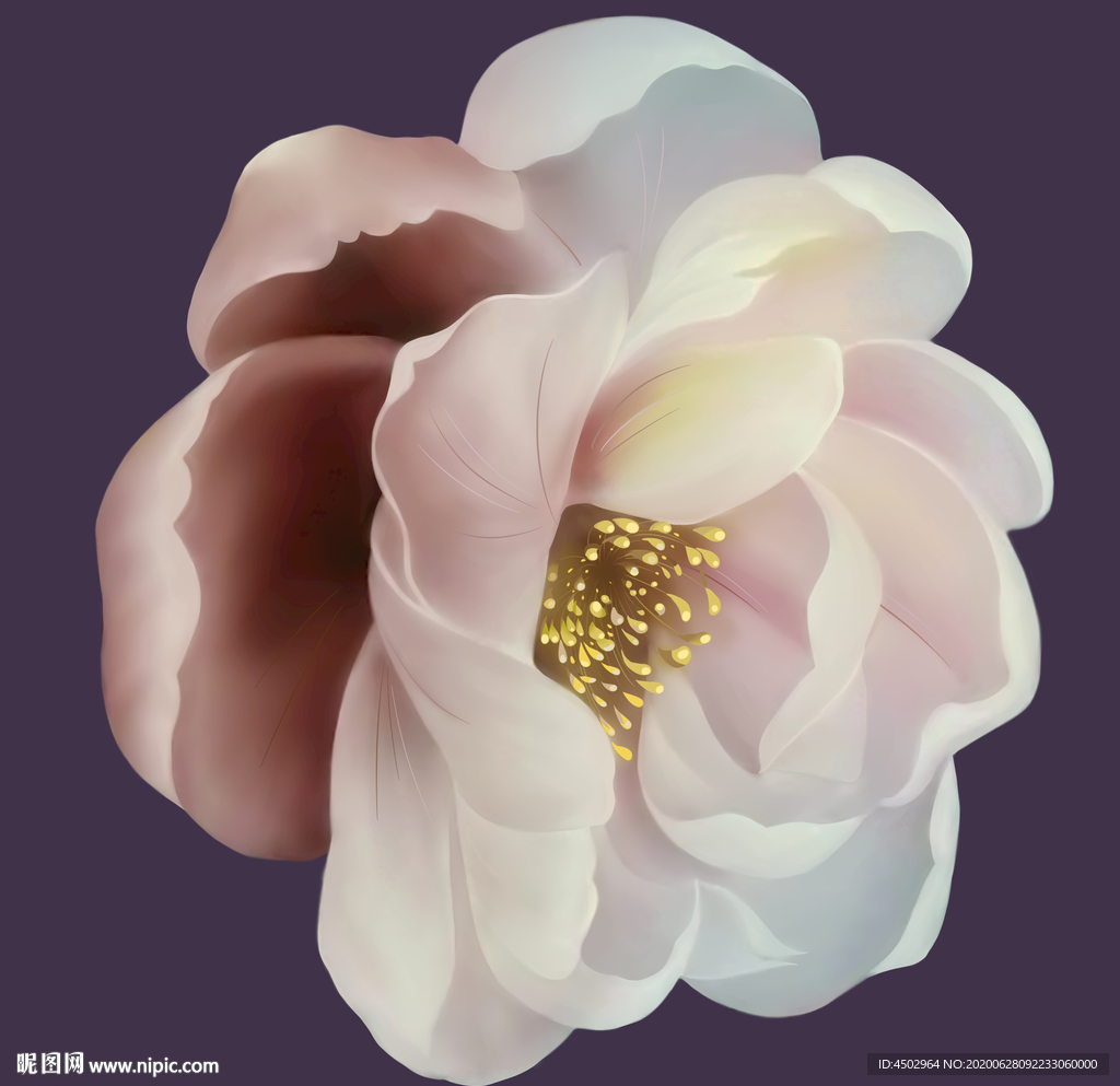 手绘花