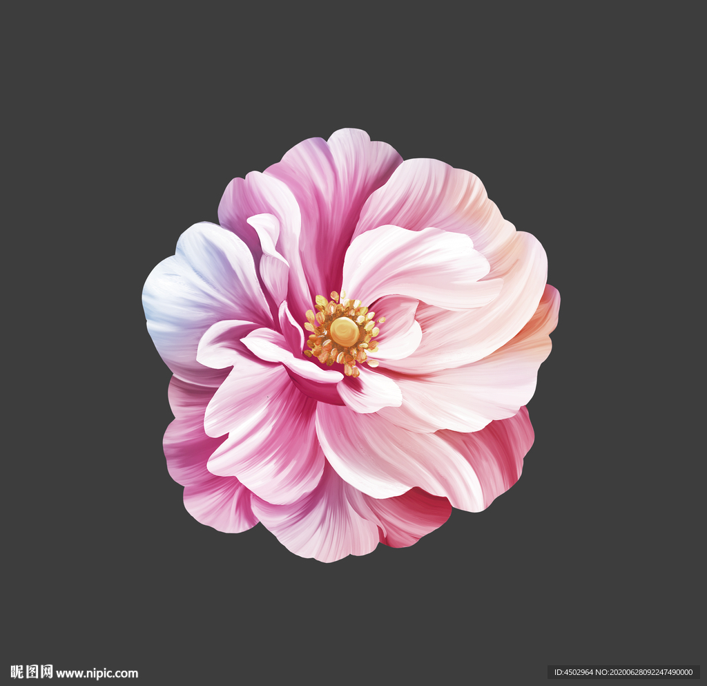 手绘花