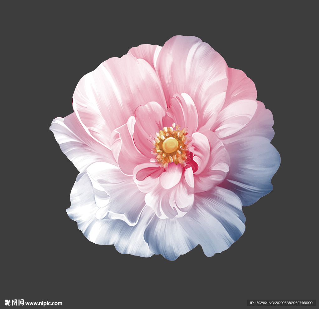 手绘花