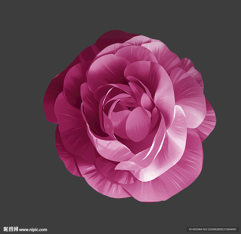 手绘花