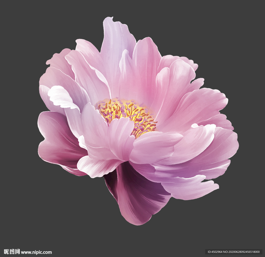 手绘花