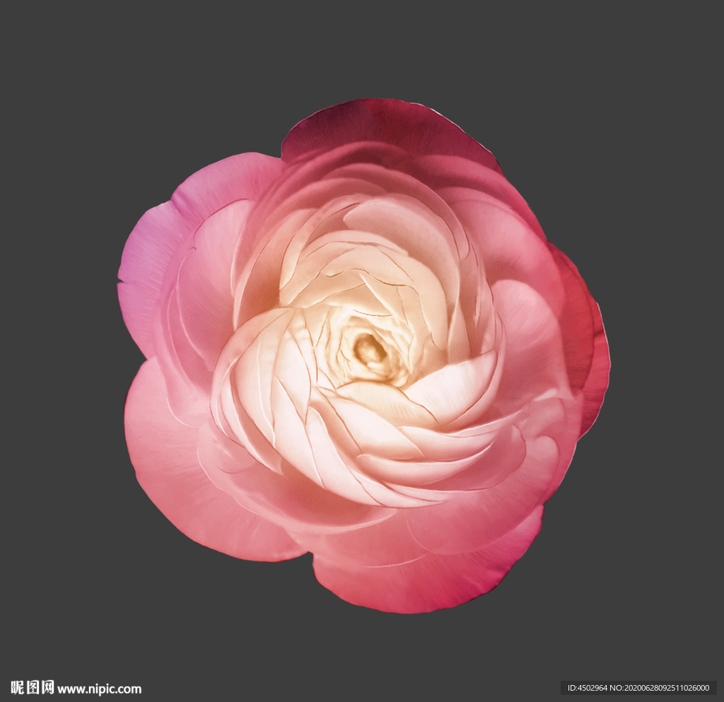 手绘花