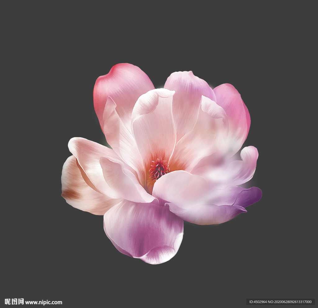 手绘花