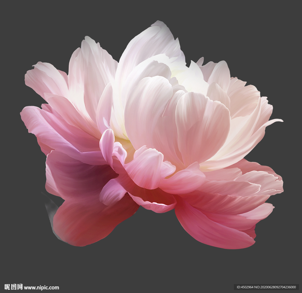 手绘花