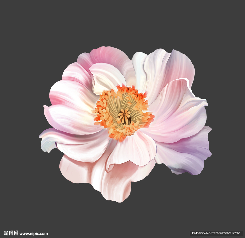 手绘花