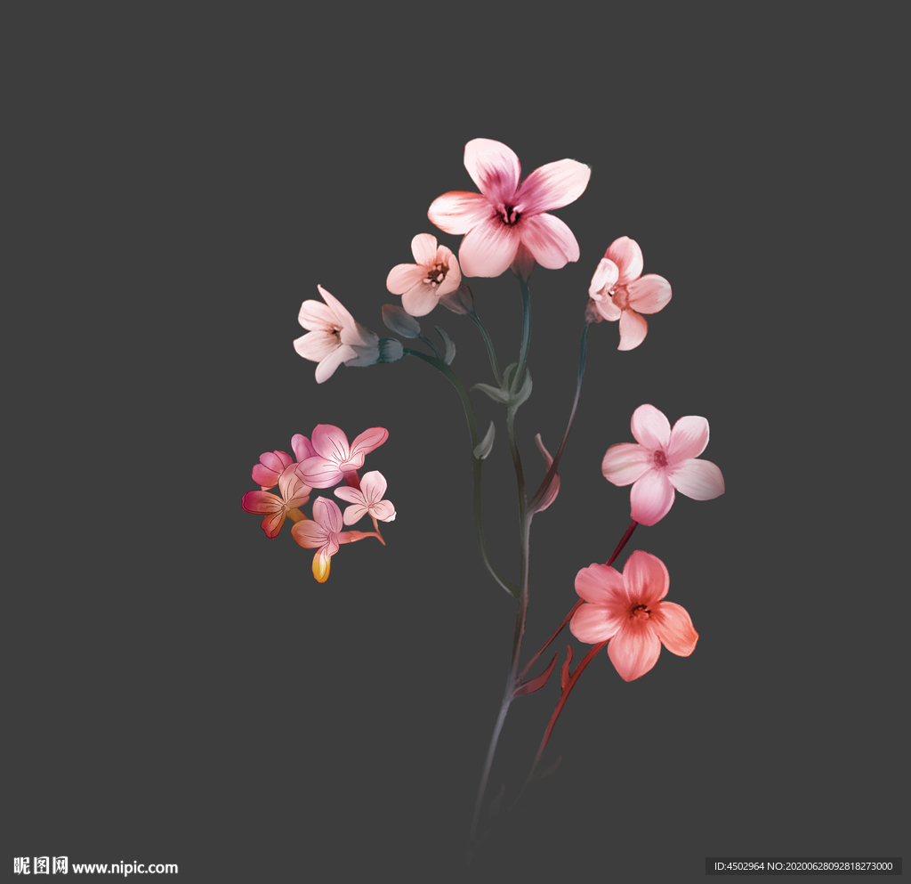 手绘花