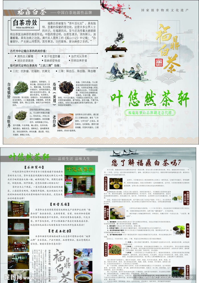 福鼎白茶茶轩宣传单