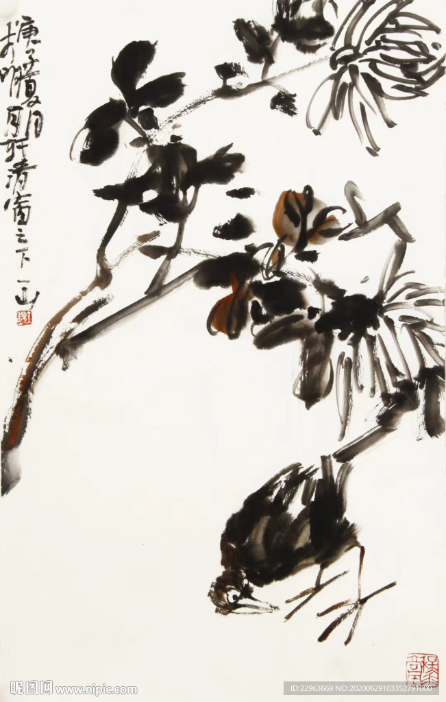 墨菊