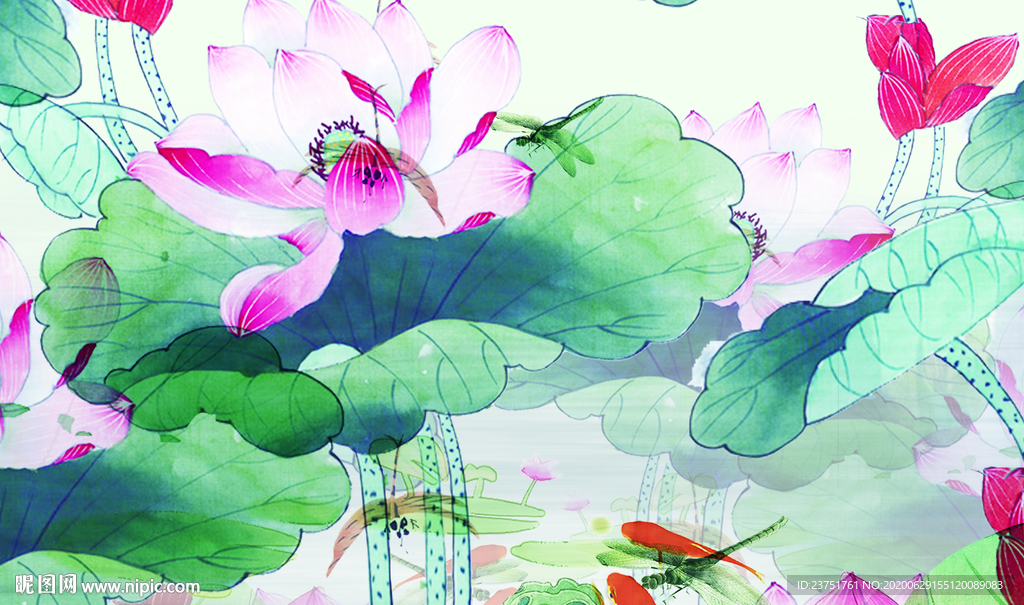 手绘荷花