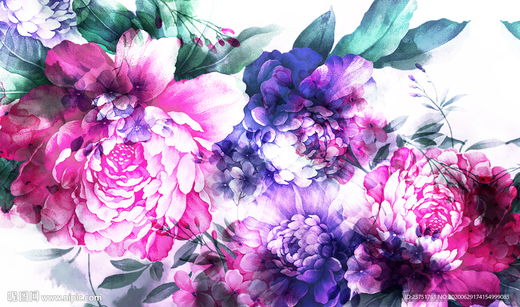 牡丹花