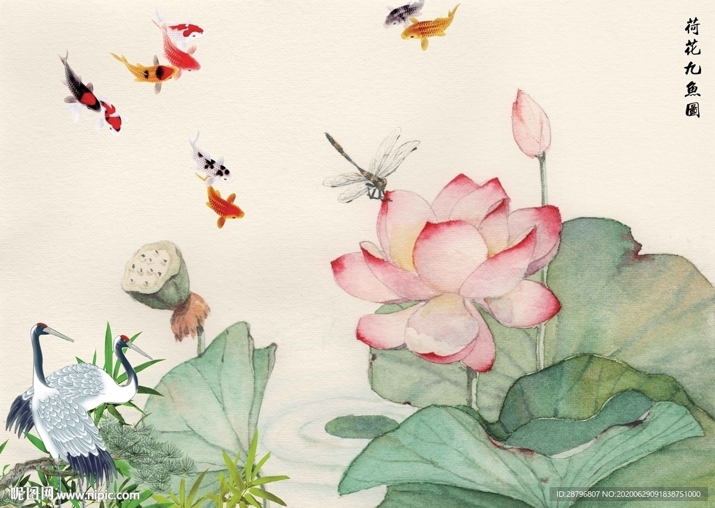 荷花九鱼图
