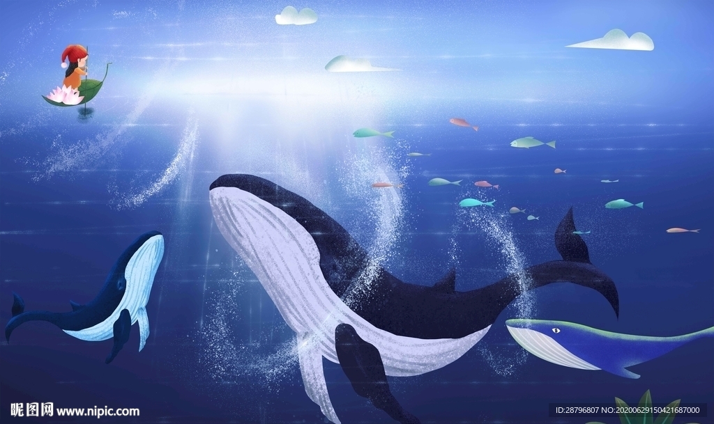 鲸鱼海底世界