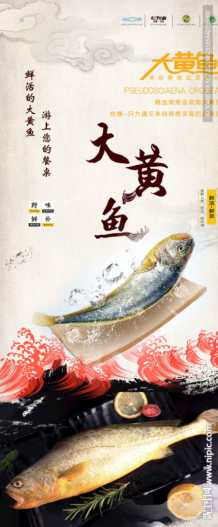 大黄鱼展架