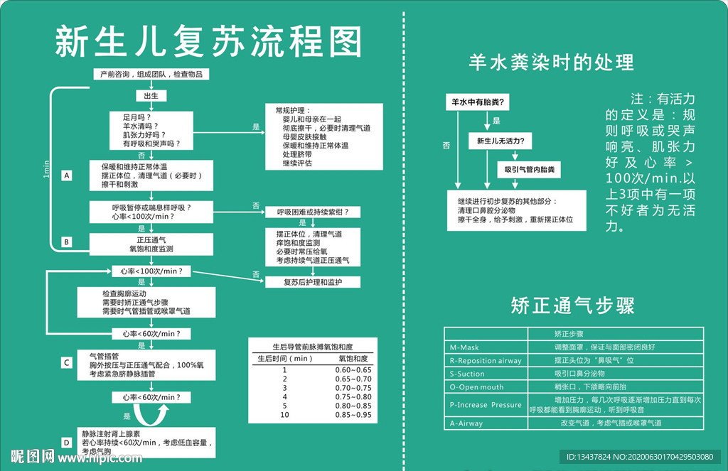 新生儿复苏流程