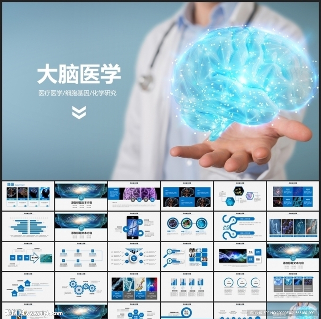 医学大脑研究医学研究汇报PPT