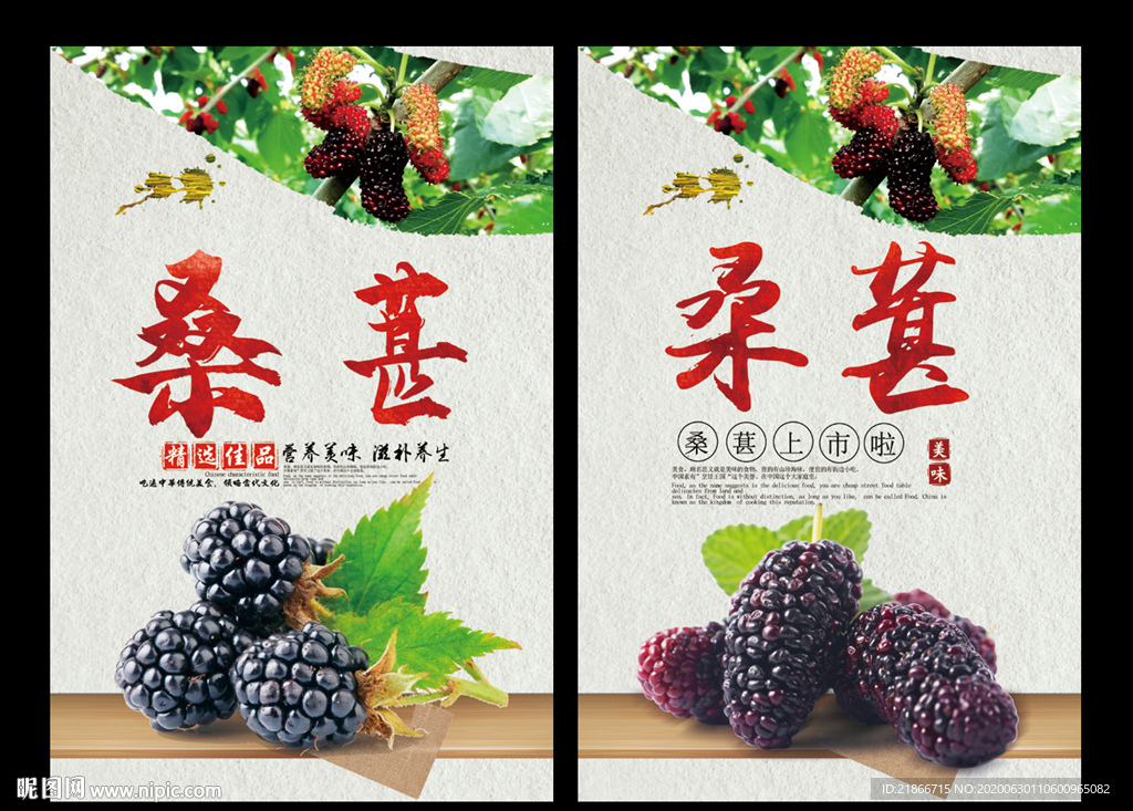 桑葚
