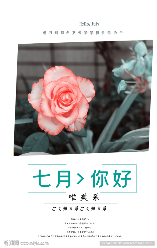 你好七月
