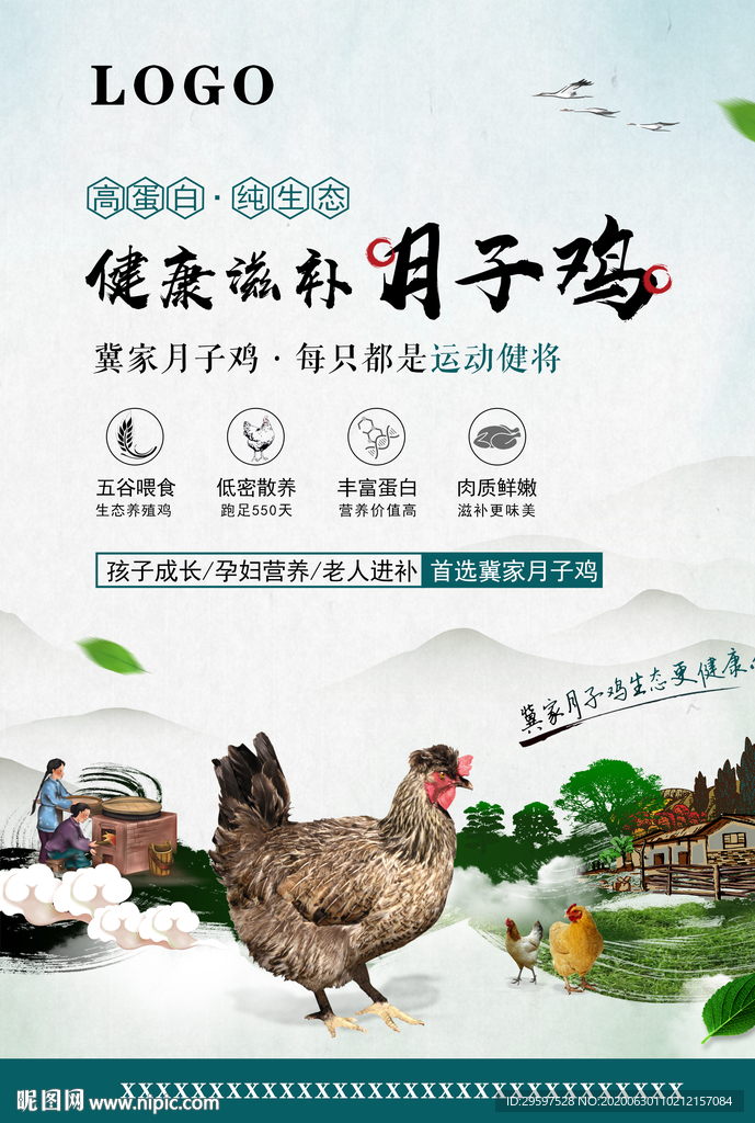 土鸡 山水  滋补