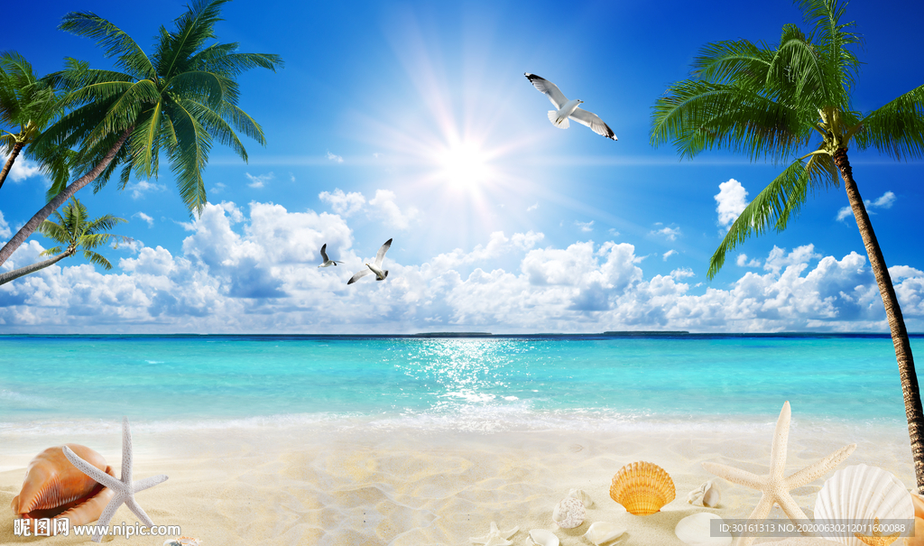 烈日下的沙滩风景