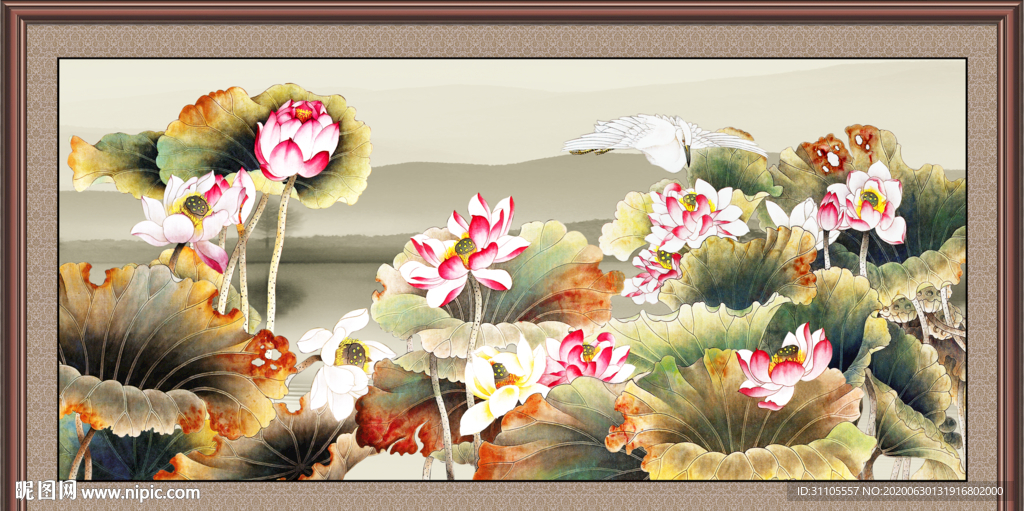 国画荷花