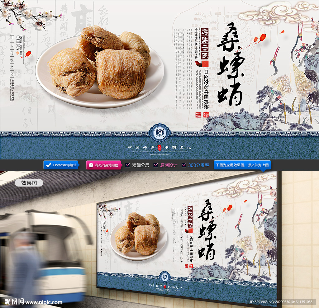 桑螵蛸