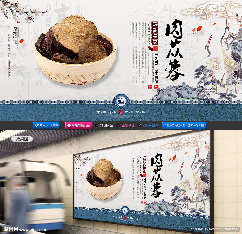 肉苁蓉