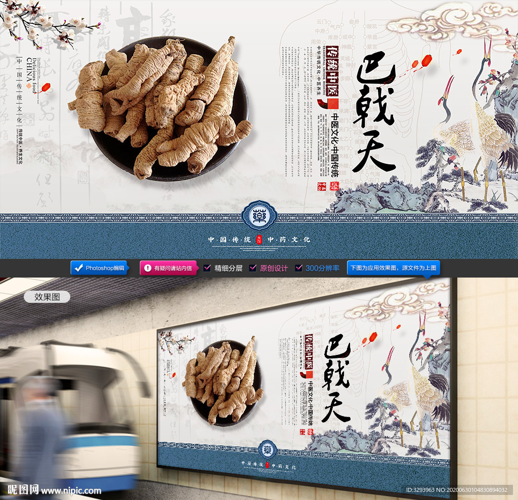 巴戟天