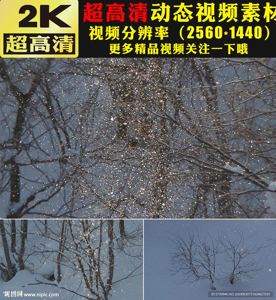 雪山雪景下雪冬季飘雪视频素材