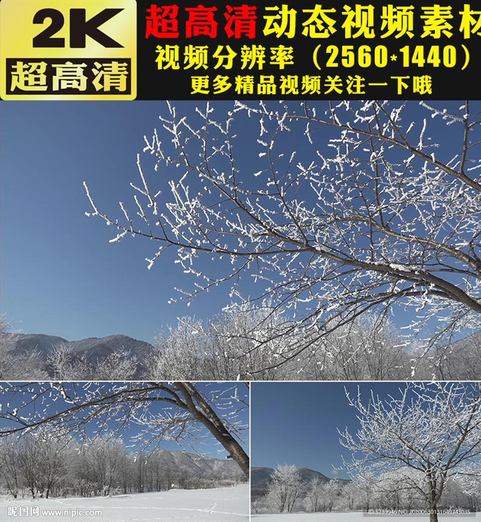 冬季雪景雪山云海白雪雪松视频