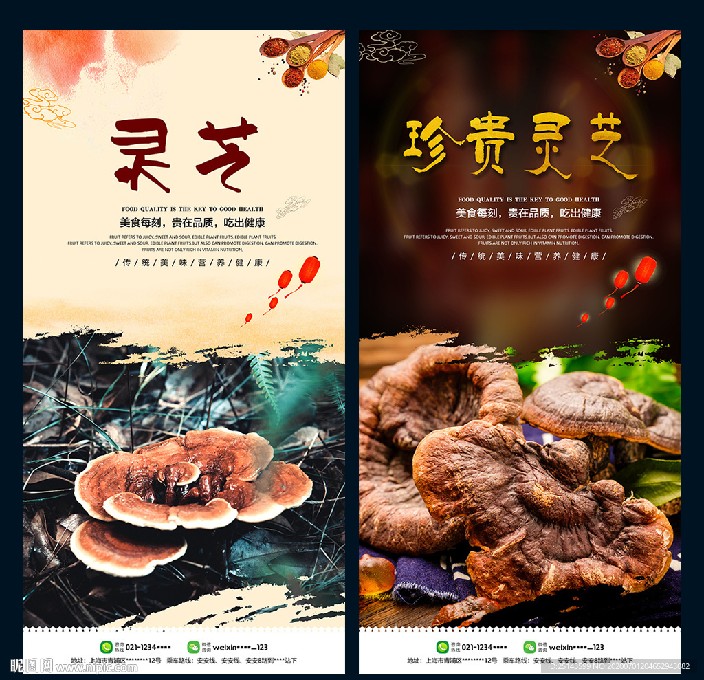 灵芝