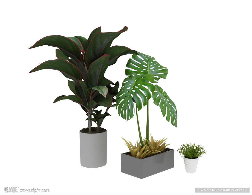大植物3d模型