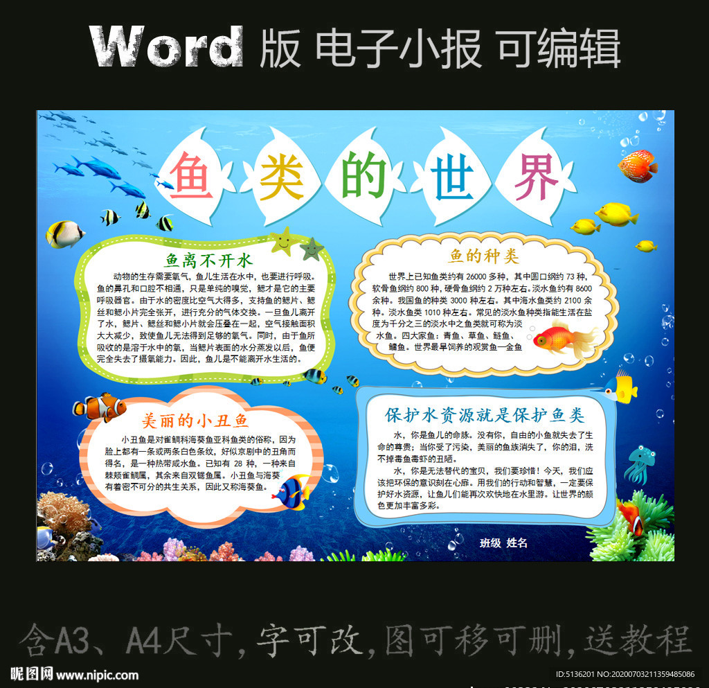 word版电子小报鱼类的世界
