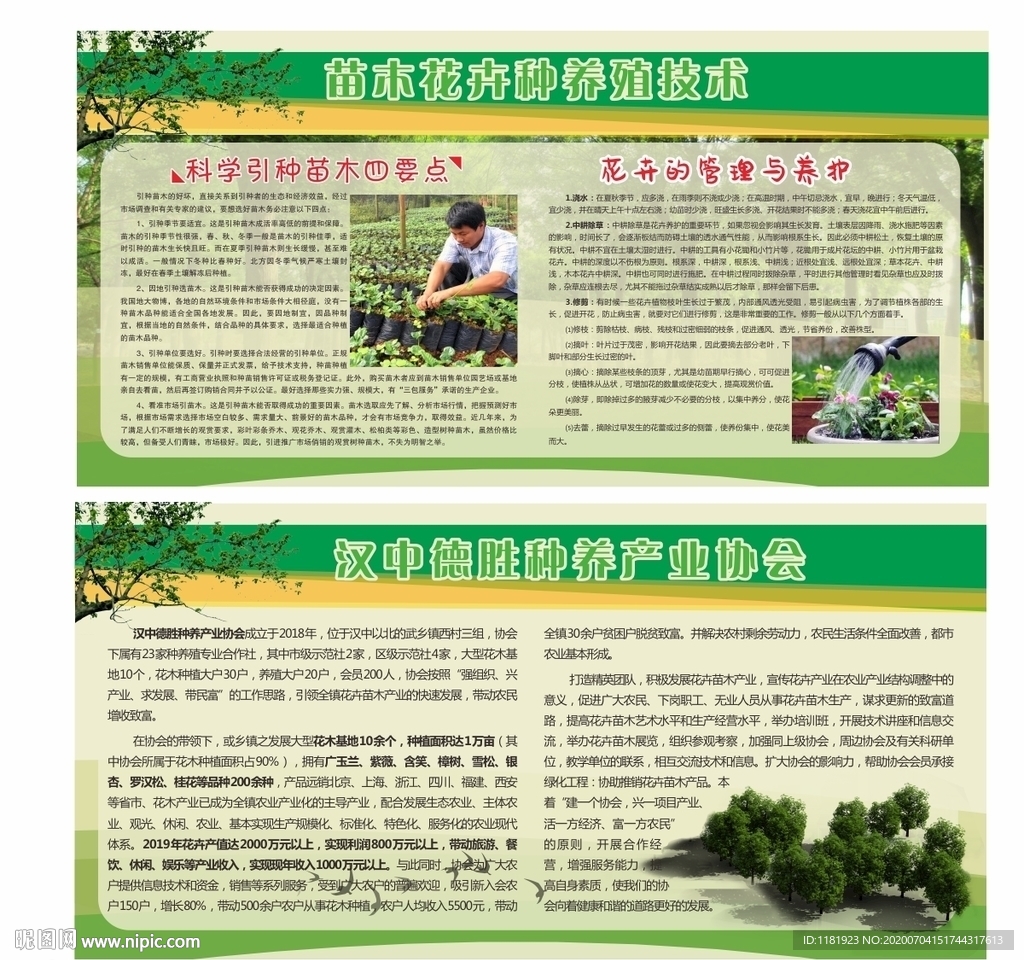 苗木基地企业介绍