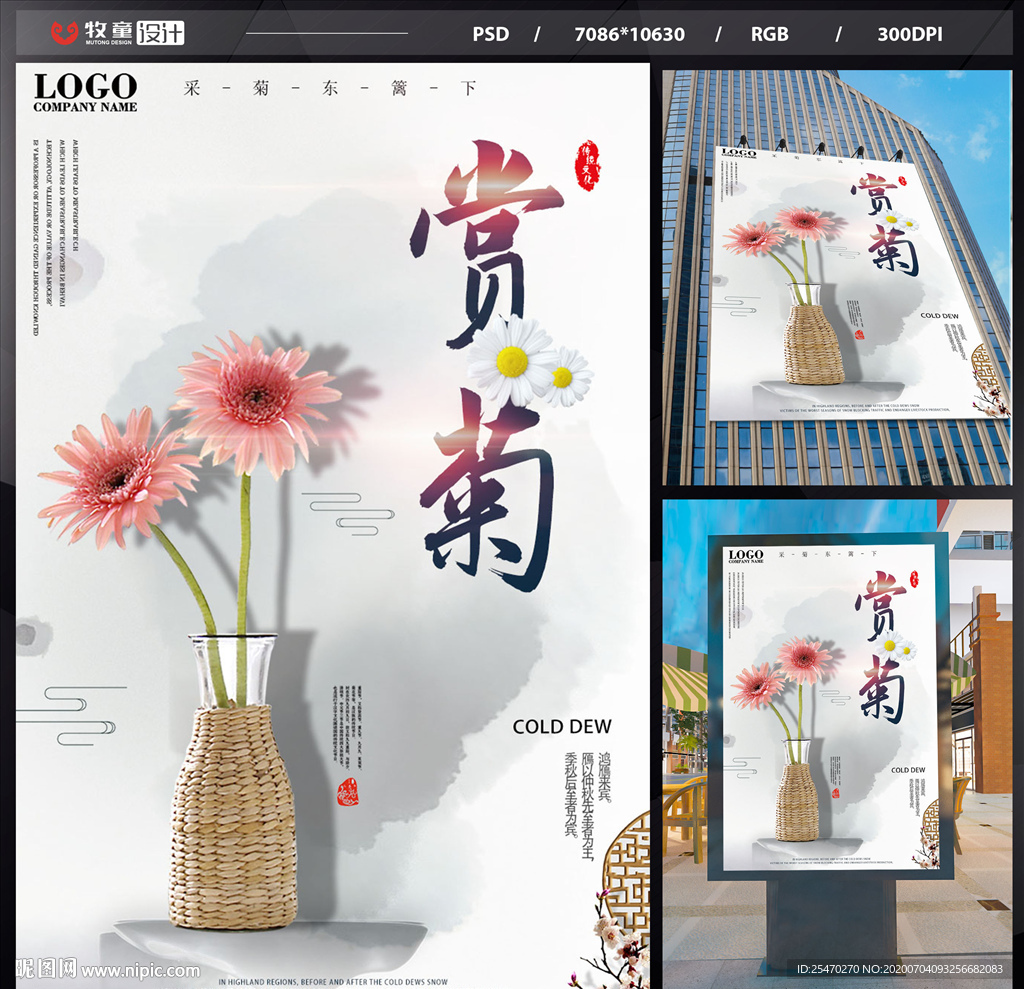 赏菊