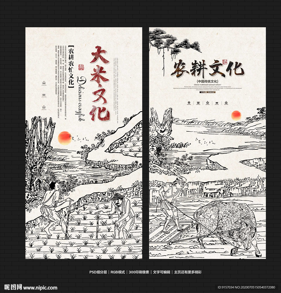 大米 米 大米展板