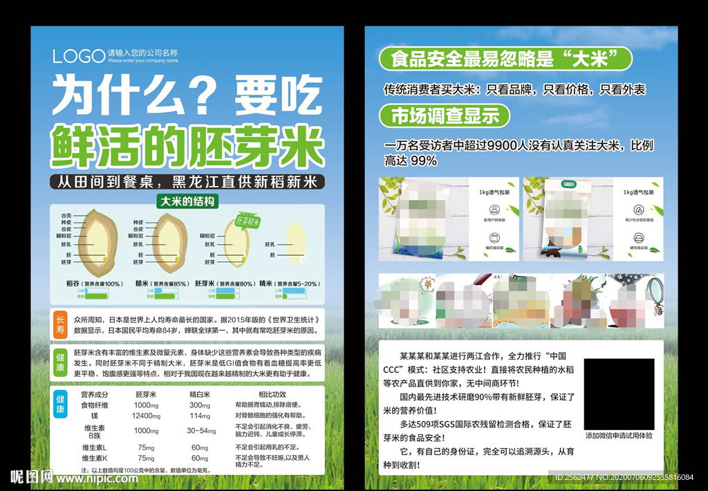 五常大米糯米杂交米胚芽米水稻展