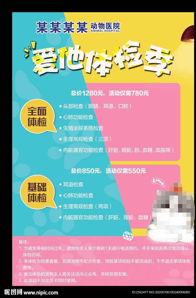 宠物医院托管寄养看护体验生活馆