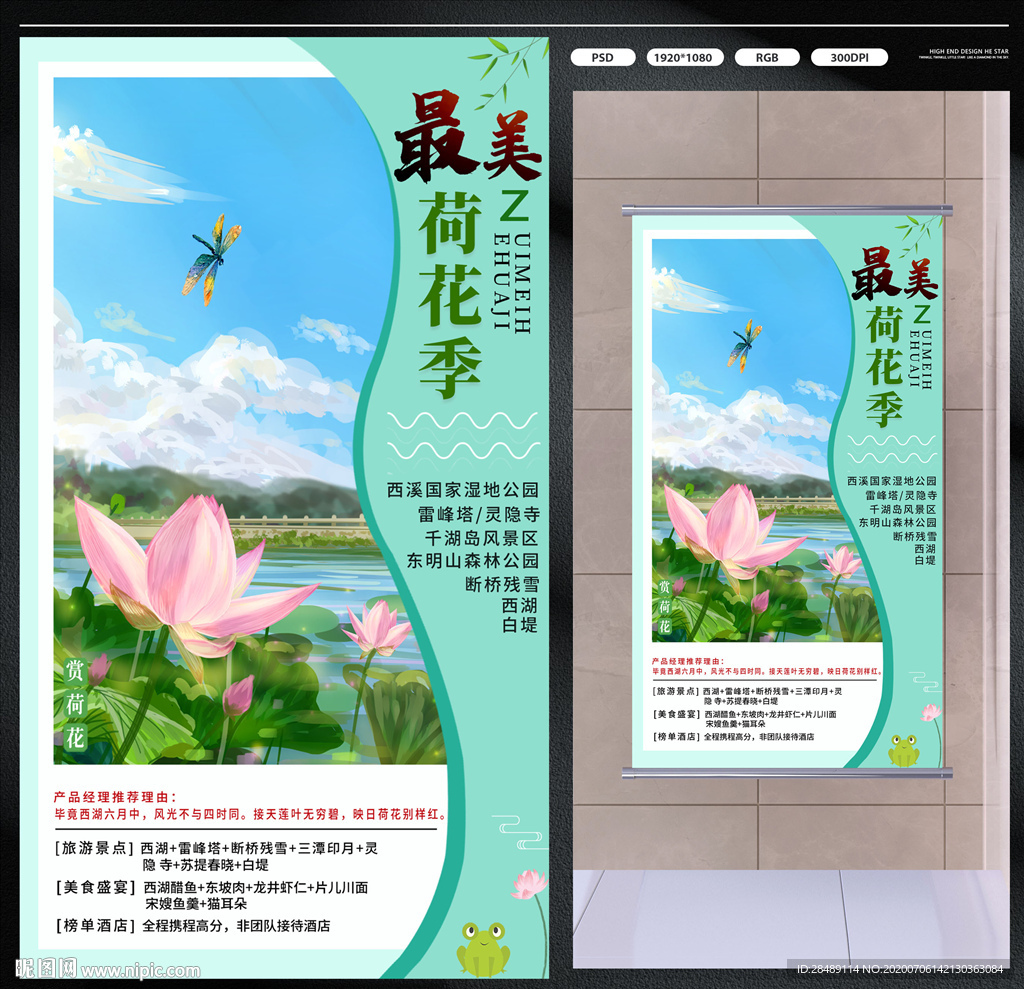 共赏荷花
