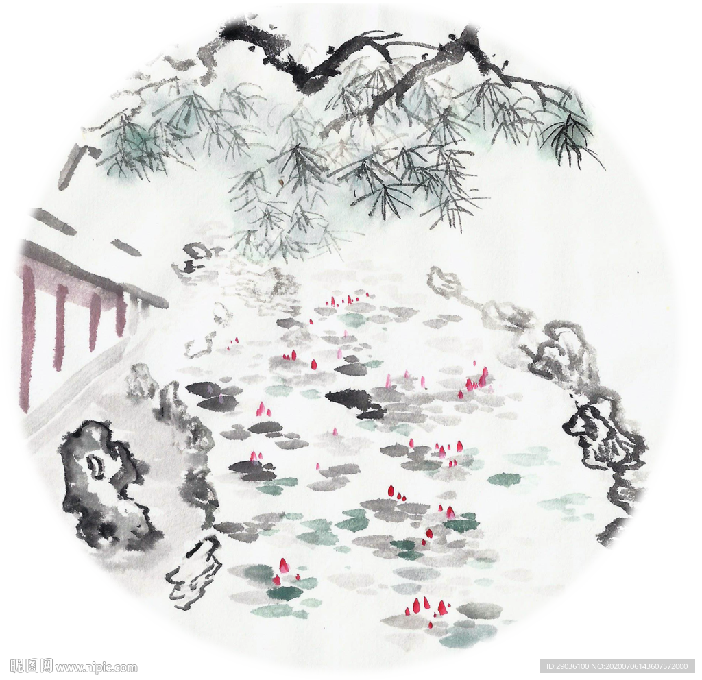 六月荷花