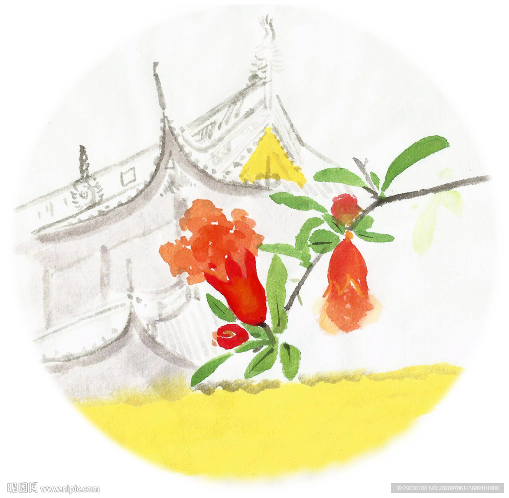 石榴花